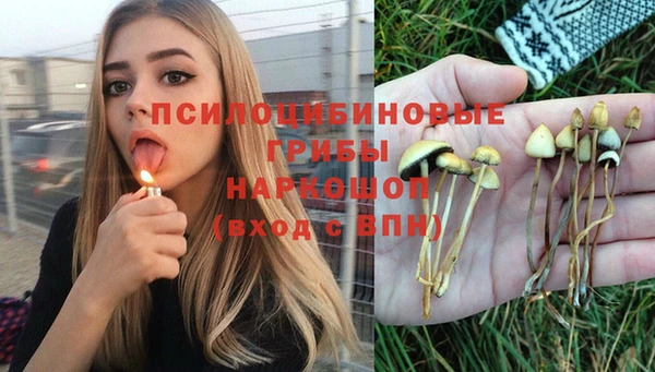 амф Гусь-Хрустальный