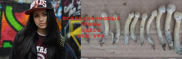 гидропоника Нефтегорск
