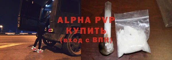 амф Гусь-Хрустальный