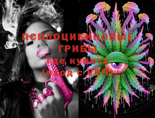прущий лед Нея