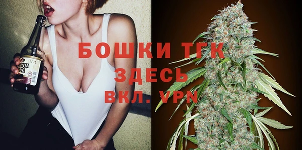 прущий лед Нея
